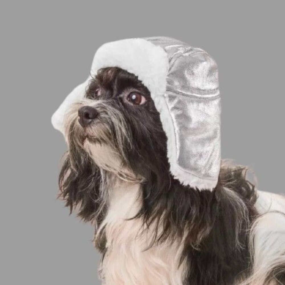 Silver Trapper Dog Hat Boots & Barkley Size S/M